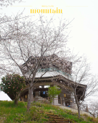 【神奈川】山日記｜桜を見ながらハイキング🥾
