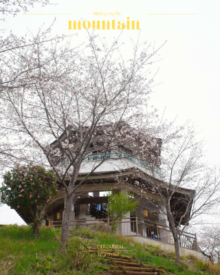 [คานากาว่า] บันทึกภูเขา | เดินป่าชมดอกซากุระ 🥾