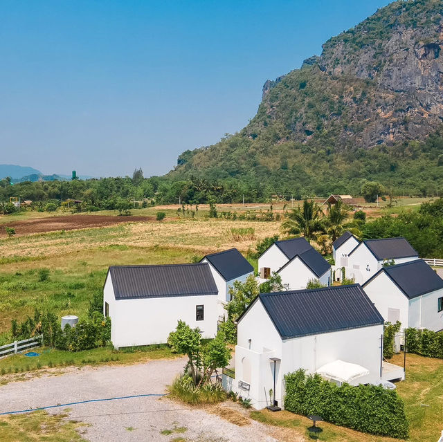 Vinewood Phu Pha Man ภูผาม่าน ขอนแก่น 