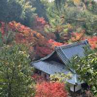 Kyoto không đông đúc - Enkouji Temple