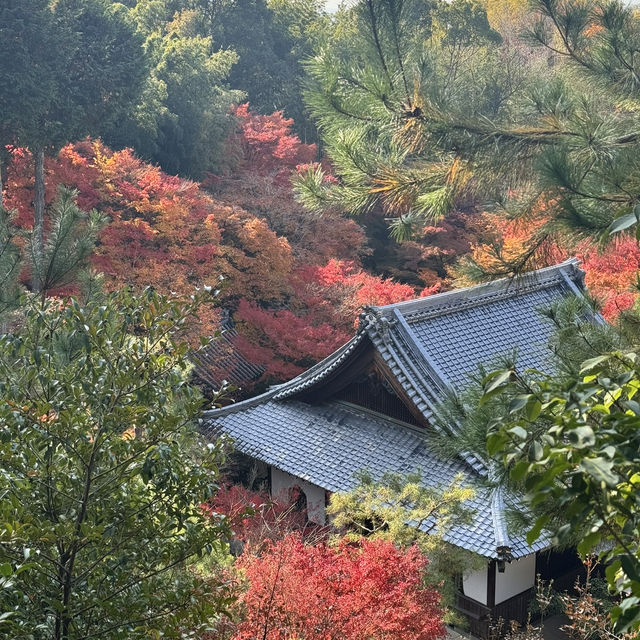Kyoto không đông đúc - Enkouji Temple