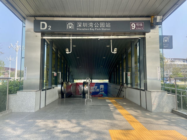 🧎沉浸在綠意與海濱風光中🌟深圳灣公園🌳