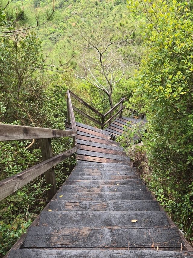 香港行山⛰️東涌站至昂坪市集