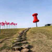 Imjingak Peace Park – Blossoms with a View of History