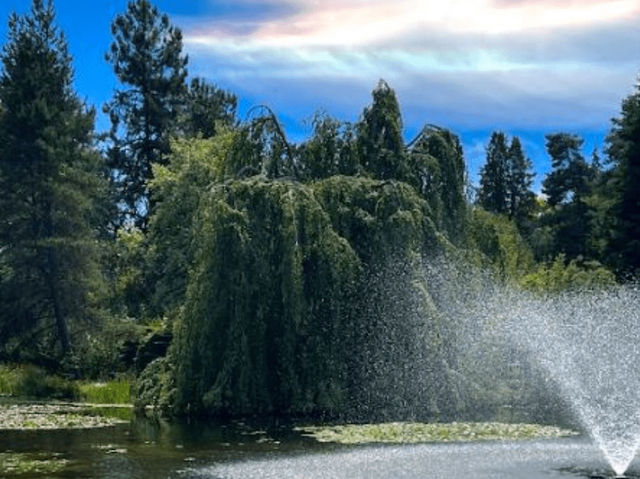 溫哥華範度森植物園