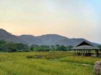 🌾 Lhongkhao Samoeng หลองข้าวสะเมิง 
