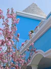 Minhang Cultural Park – Shanghai's Sprawling Green Canvas
