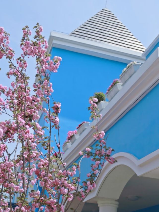 Minhang Cultural Park – Shanghai's Sprawling Green Canvas