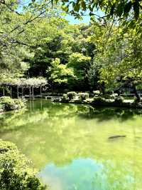 【金沢×尾山神社】楽器の庭と言われる緑溢れる庭園