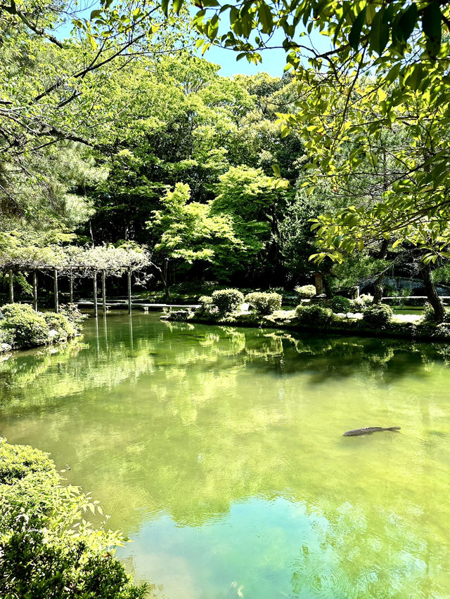 【金沢×尾山神社】楽器の庭と言われる緑溢れる庭園