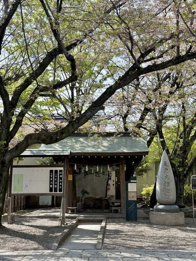 Spring Vibes at Kameido Katori Shrine