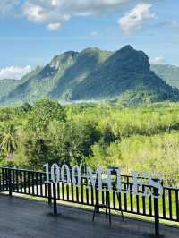 ไร่ชา 1000 ไมล์ – แวะพักชิมชา กาแฟ สไตล์ชิลๆ