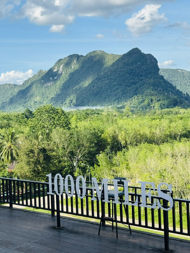 ไร่ชา 1000 ไมล์ – แวะพักชิมชา กาแฟ สไตล์ชิลๆ