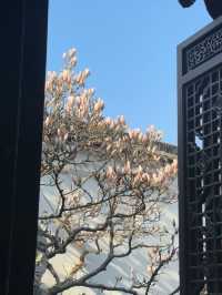 A Spring Stroll Through Master-of-Nets Garden