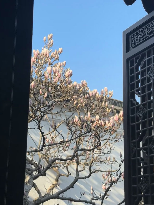 A Spring Stroll Through Master-of-Nets Garden