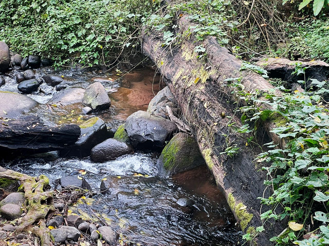 เที่ยวน้ำตกภูสอยดาว อุทยานแห่งชาติภูสอยดาว 🌲💦