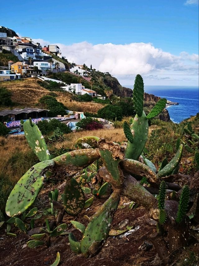 Cristol Rei, Madeira, Portugal