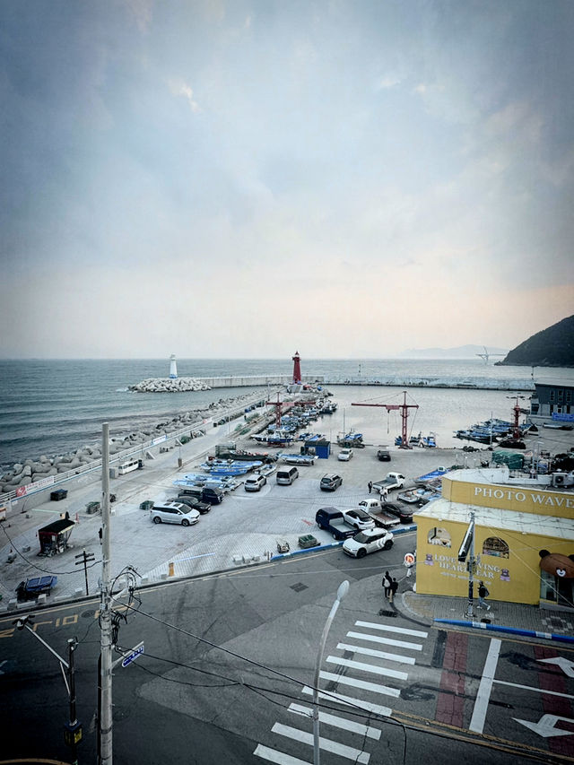 Having Moment in Busan 