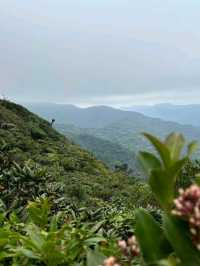Monteverde Cloud Forest Reserve, Costa Rica – Misty Forest with a Green Soul