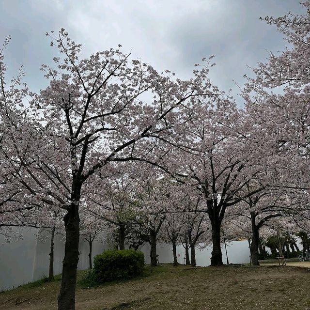 Kema Sakuranomiya Park, Osaka