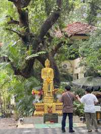 รีวิววัดจุฬาภรณ์วนาราม นครนายก