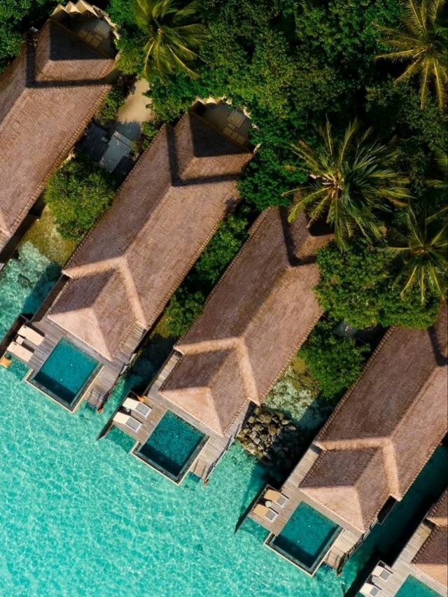 💖 Visiting Romantic Maldives – Love in Every Sunset & Sea Breeze 🌅🏝️