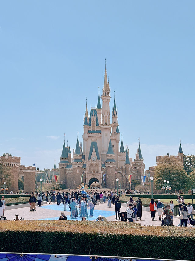 Cherry Blossom in Miyagi, having fun in Disneyland, relaxing time in onsen.