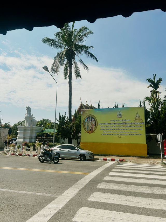 [チェンマイ]タイに来たらここ行って！ワットプラシン🇹🇭