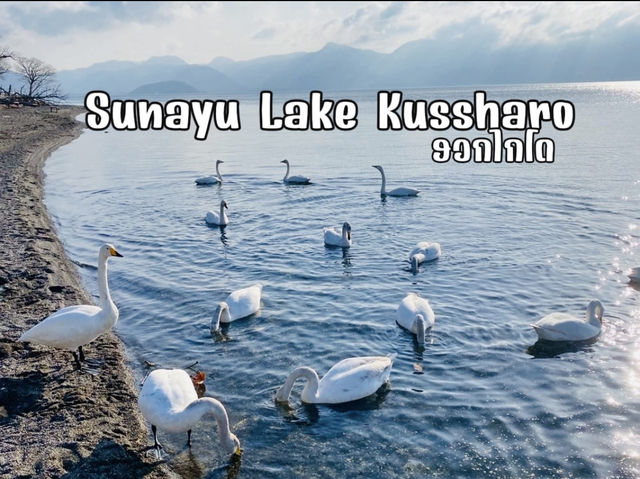 หนีหนาวมานั่งชิลที่ Sunayu Lake Kussharo ฮอกไกโด