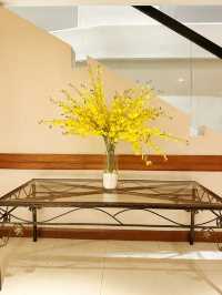 Where Heritage Meets Conscious Comfort