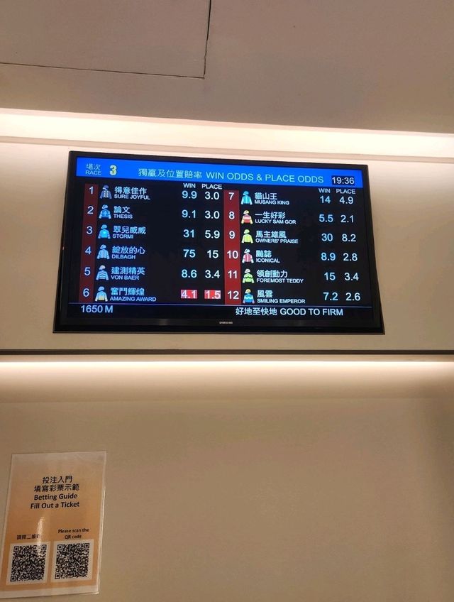 홍콩 여행에서 수요일 마다 열리는 해피 밸리 경마장은 필수 코스🐴