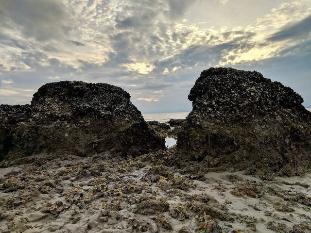 Kuala Penyu Beach Escapes: Sabah’s Untouched Coastal Magic 🌊🐚