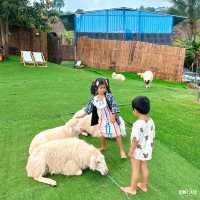 🐑 #ไร่ฟาร์มแกะ ภูทับเบิก☺️📌