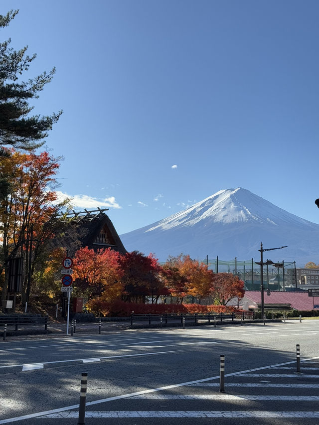 Fuji in autumn คือที่สุดดดด 🍁🗻
