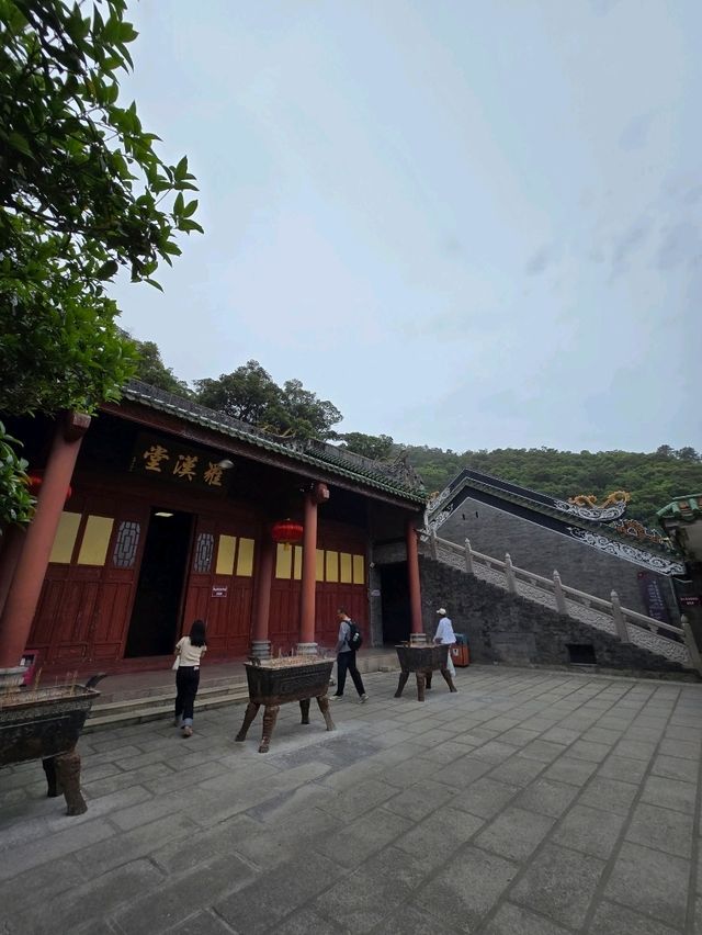 🌿 肇慶鼎湖山：綠色逃亡秘境！🌄