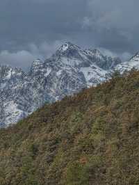 Breathing the Sky: A Calm Escape to Yak Meadow (牦牛坪) on Jade Dragon Snow Mountain