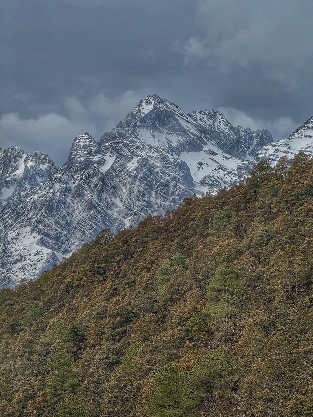 Breathing the Sky: A Calm Escape to Yak Meadow (牦牛坪) on Jade Dragon Snow Mountain