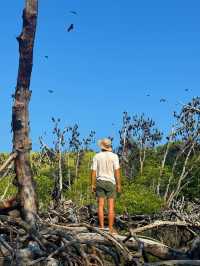17 Islands and the Flying Foxes of Ruteng