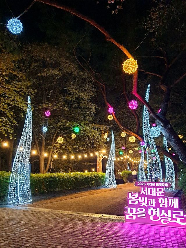 서대문 봄빛 축제 🌷 별빛에 더 화사해지는 밤 ⚘