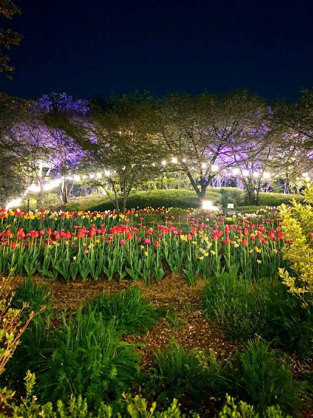 서대문 봄빛 축제 🌷 별빛에 더 화사해지는 밤 ⚘