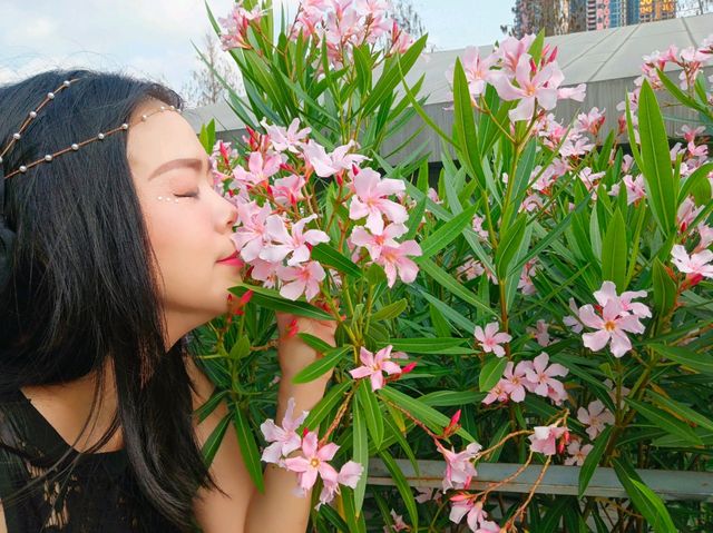 Guiwan (桂湾公园) สวนสาธารณะกุ้ยวาน