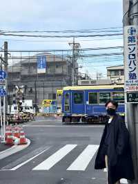 東京的兩種節奏：閃耀的鐵塔與靜靜盛開的街角櫻
