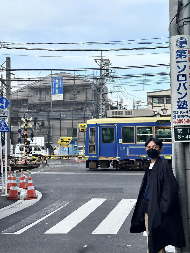 東京的兩種節奏：閃耀的鐵塔與靜靜盛開的街角櫻