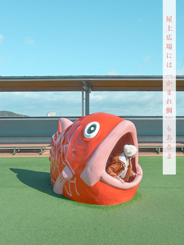 映えオブジェ６選🍠🧅🥦🍏🎃😋