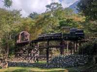 #八仙山國家森林遊樂區- 臺中市和平區