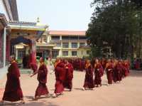 Tibetan Temple in Mysore, India—Namdroling Monastery Golden Temple