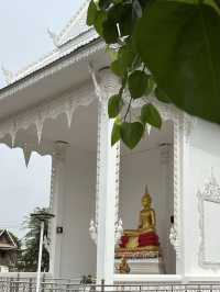 วัดตะพังคี (ปู่เต่า มหาลาภ)