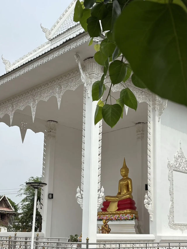 วัดตะพังคี (ปู่เต่า มหาลาภ)