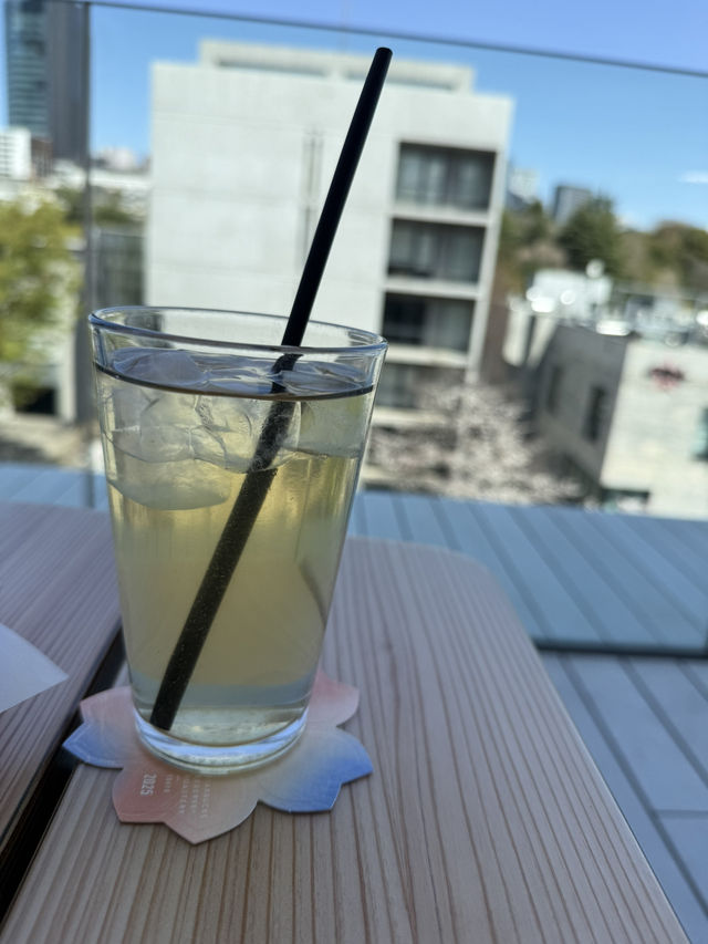 桜とコーヒーの贅沢体験🌸☕️中目黒スタバでのお花見レポート