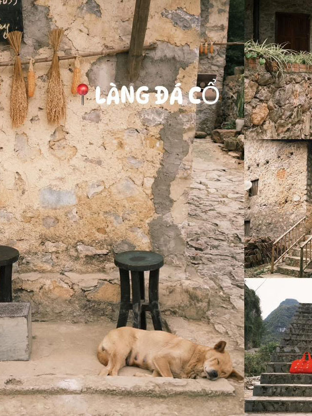 Checkin Cao Bằng